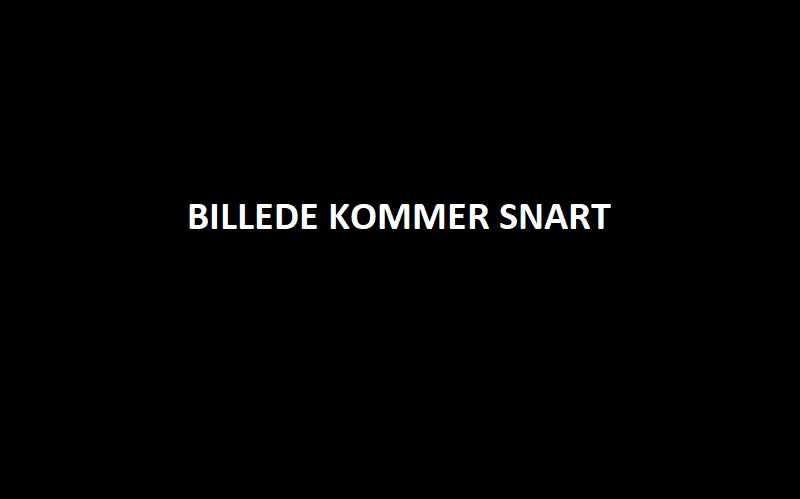 Skabelon-for-bestyrelses-billeder-800×499